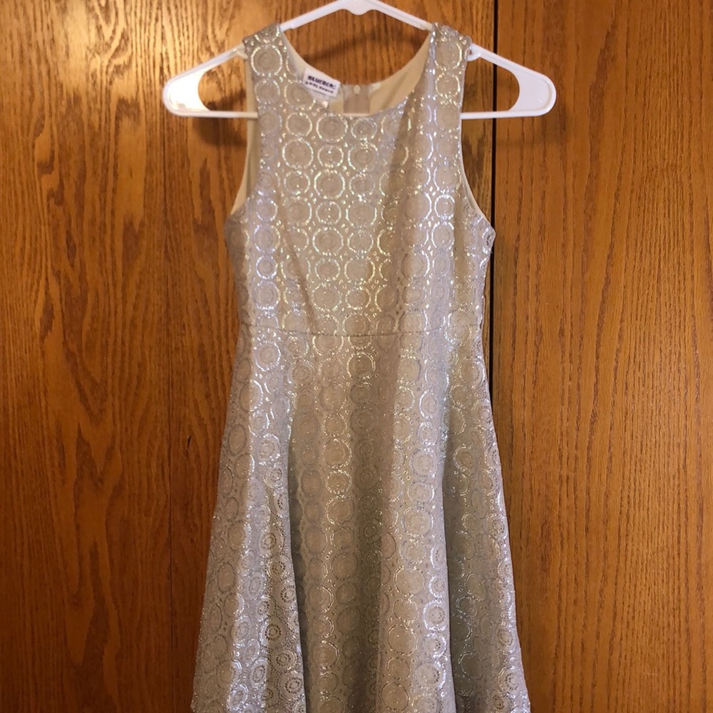 Blueberi boulevard dress